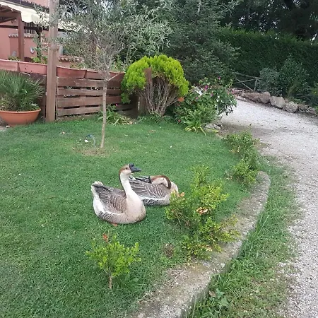 Georgerock Bed & Breakfast *